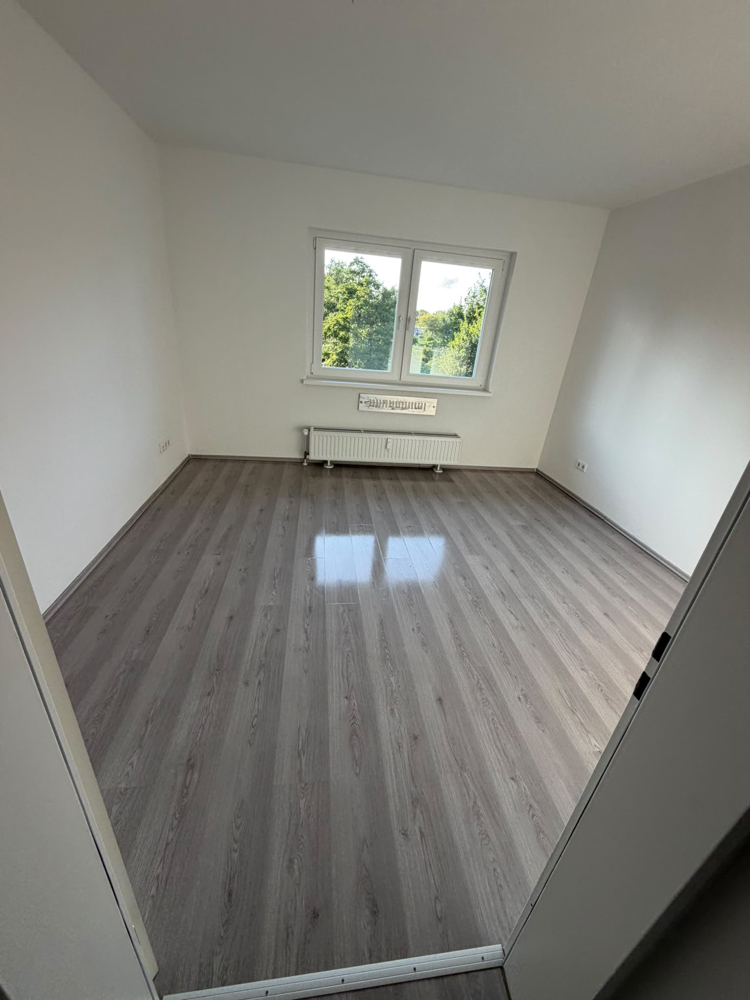 Fensterecke mit Blick ins Grüne nach der Reinigung